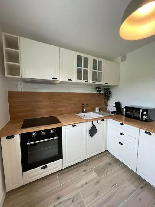 Appartement Proche Stade/Eurexpo 데시네샤르피우 프랑스